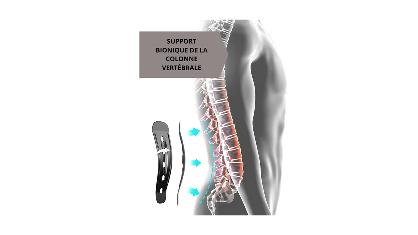 ceinture lombaire bionic 1