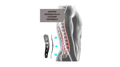 ceinture lombaire bionic 1