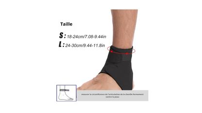 chevillere ligamentaire taille
